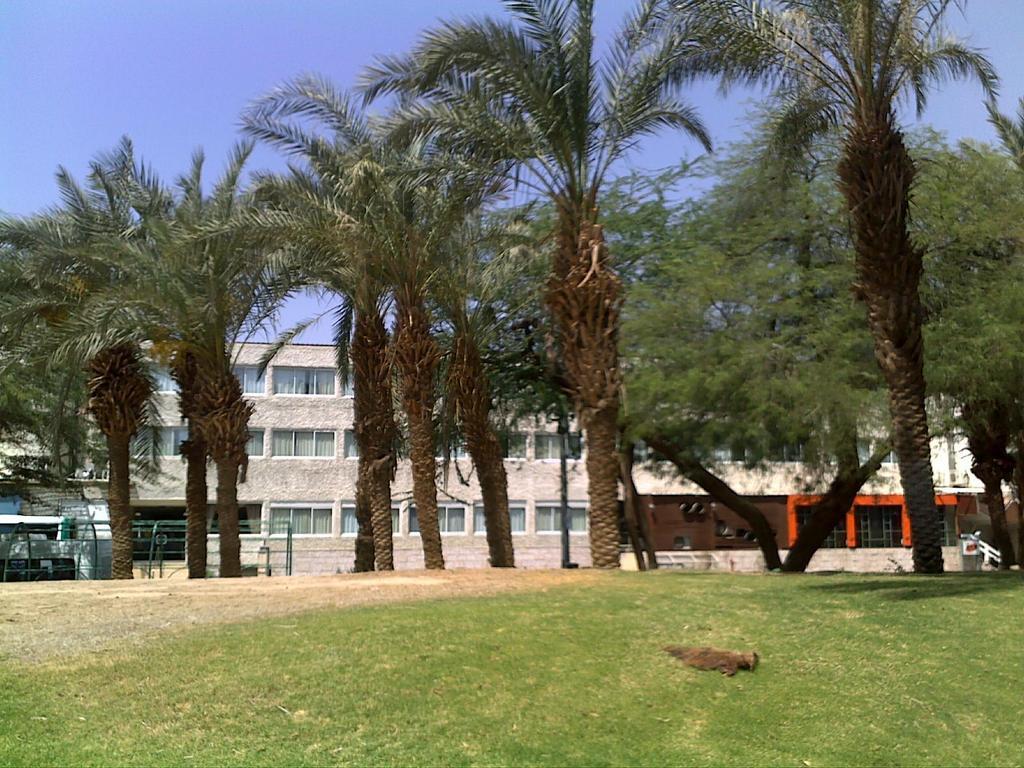 Dalia Hotel Eilat Esterno foto
